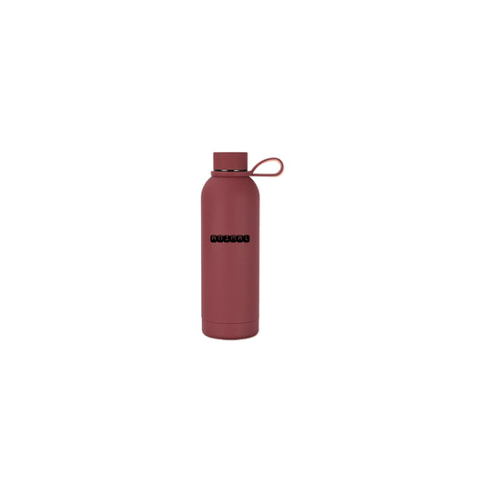 Stainless Steel Bottle